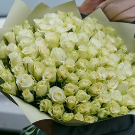 101 белая роза