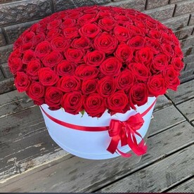 101 роза в шляпной коробке