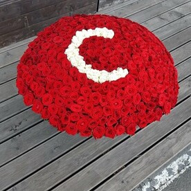 Буква из 301 розы