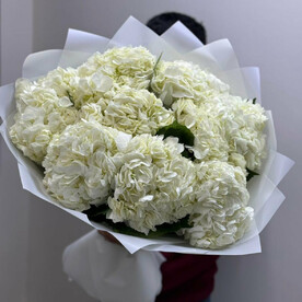 Букет из 15 белых гортензий
