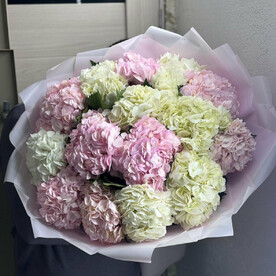 Букет из 15 розовых и белых гортензий