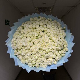 Огромный букет белых пионовидных роз Вайт Баблз