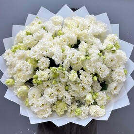 Букет из 31 белой эустомы