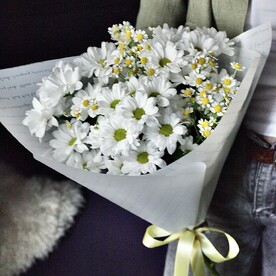 Ромашки большие и маленькие