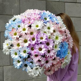 Букет 19 ромашковых хризантем под ленту