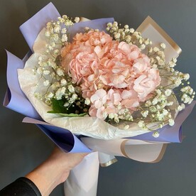 Розовая гортензия с гипсофилой