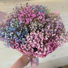 Гипсофила радужная