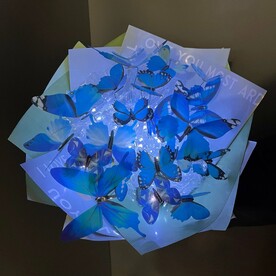 Букет из бабочек