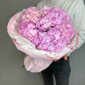 Букет из 7 розовых гортензий