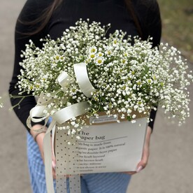 Облако гипсофил