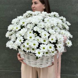 Большая корзина ромашек
