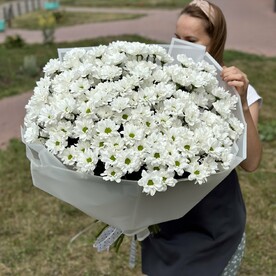 Облако хризантем