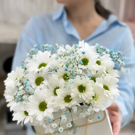 Воздушность