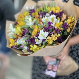 Альстромерия, Крафт