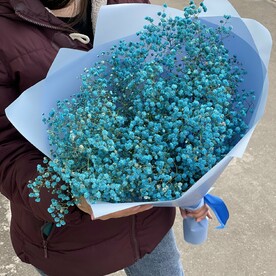 Букет из 9 гипсофил