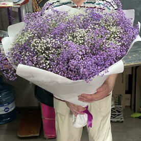 Букет гигант из 35 гипсофилы