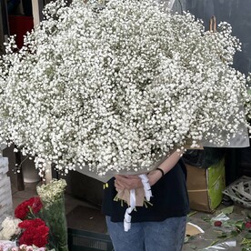 Букет из 25 белые гипсофилы