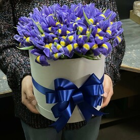 51 ирисов в коробке