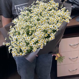 Букет из 25 ромашек