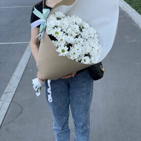 Букет из 9 кустовых хризантем