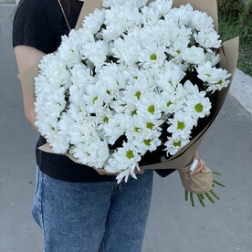 Букет из 15 кустовых хризантем