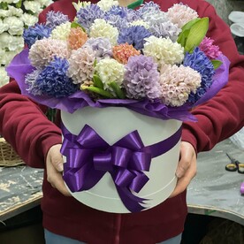 25 гиацинт в коробке