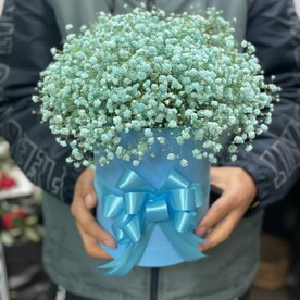 Гипсофила в коробке💙