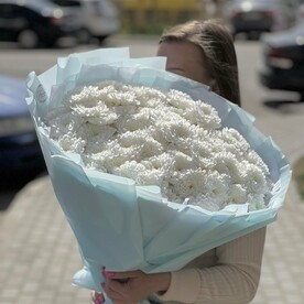 Огромное облако хризантем