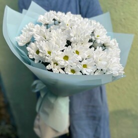 Букет из 9 кустовых хризантем