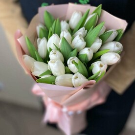 Букет из 25 белых тюльпанов