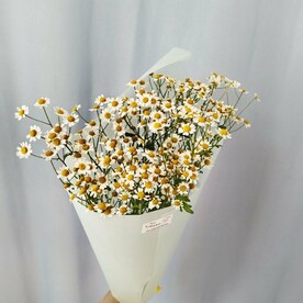Букет "Привет, ромашки" (S)