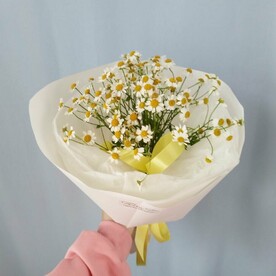 Букет-комплимент из ромашек танацетум