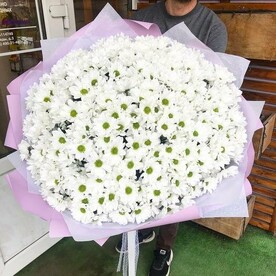 Букет 51 хризантема