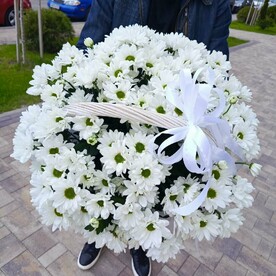 Ромашковое лукошко