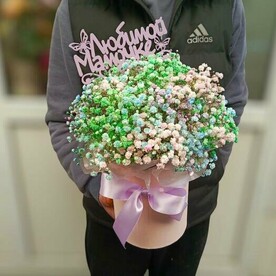 Гипсофила в коробке