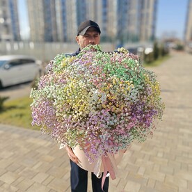 Облако из гипсофилы