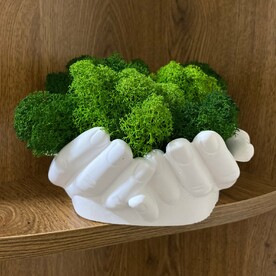 Композиция со стабилизированным мхом