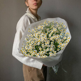 Букет с полевыми ромашками. Veresk 134