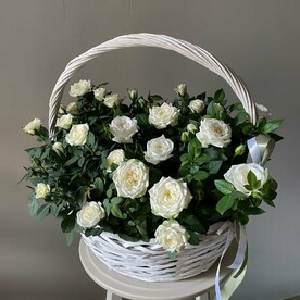 Корзина с белыми пионовидными розами ко дню учителя