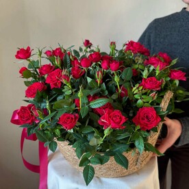 Плетеное кашпо с красными розами, Veresk 621