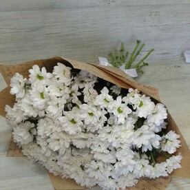 Хризантема кустовая, Крафт