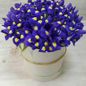 Красота любви