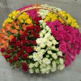 Долгожданное счастье