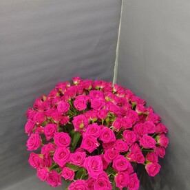 Букет из тюльпанов