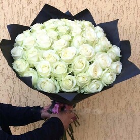 Белый лебедь.