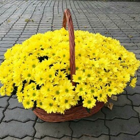 Солнце весеннее