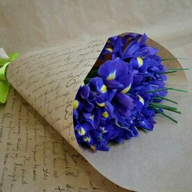 Ирис, Крафт