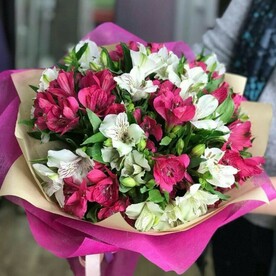 Микс альстромерия