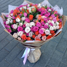 Роза кустовая, Крафт