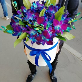 Писаная красавица